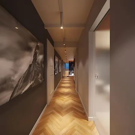 Le Bijou Lq82 Spectacular Limmatview Penthouse Апартаменты